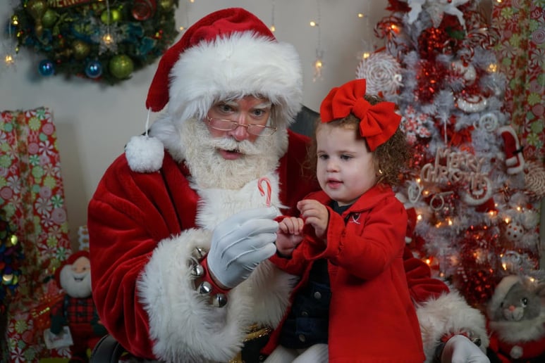 Gallery photo 8 of L-Santa the Claus