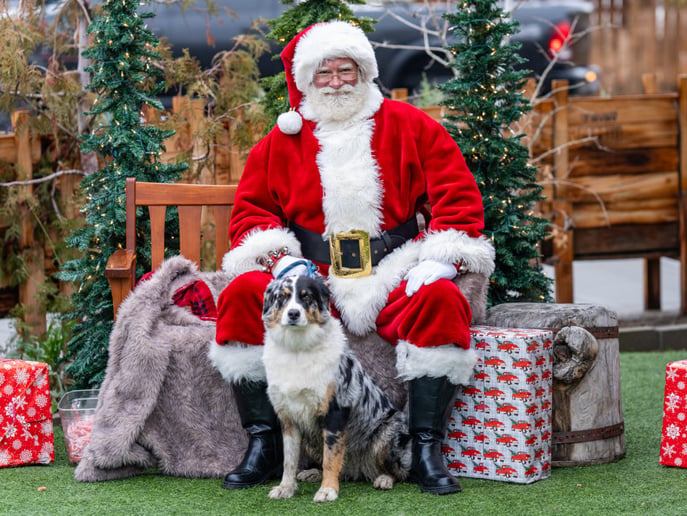 Gallery photo 10 of L-Santa the Claus