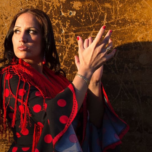 Gallery photo 2 of La Leti Flamenco