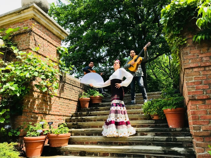 Gallery photo 9 of La Leti Flamenco