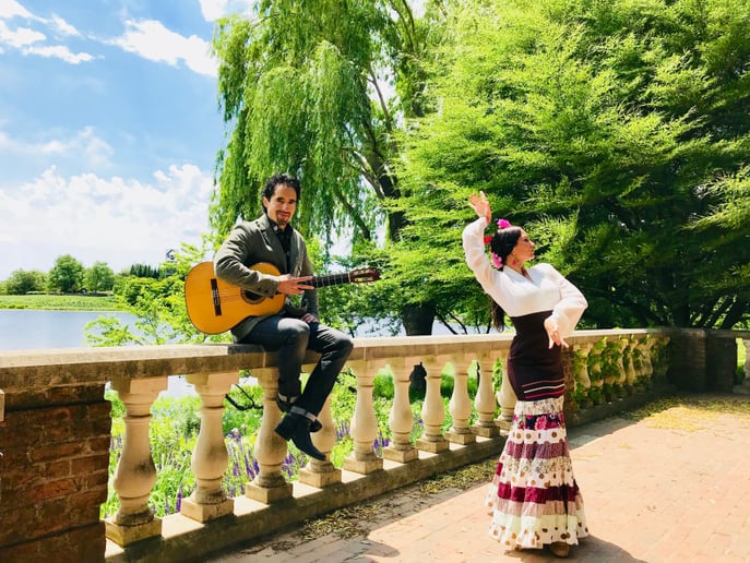 Gallery photo 10 of La Leti Flamenco