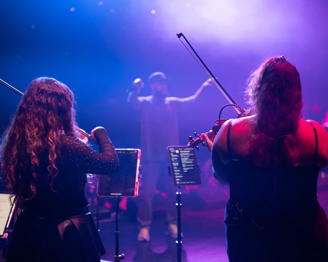 Gallery photo 3 of La Primavera Strings