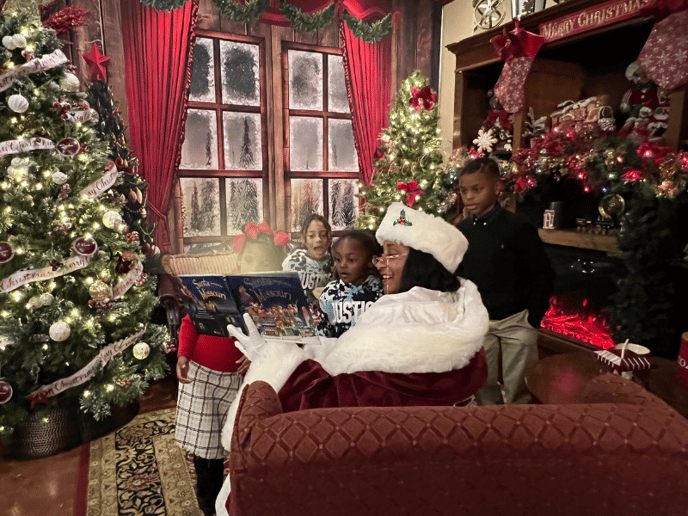 Gallery photo 1 of Lady Christmas