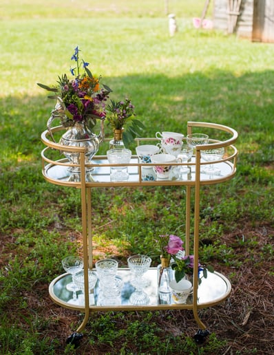 Gallery photo 4 of Lady D's Traveling Tea Party