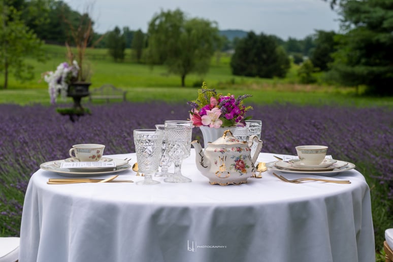 Gallery photo 10 of Lady D's Traveling Tea Party