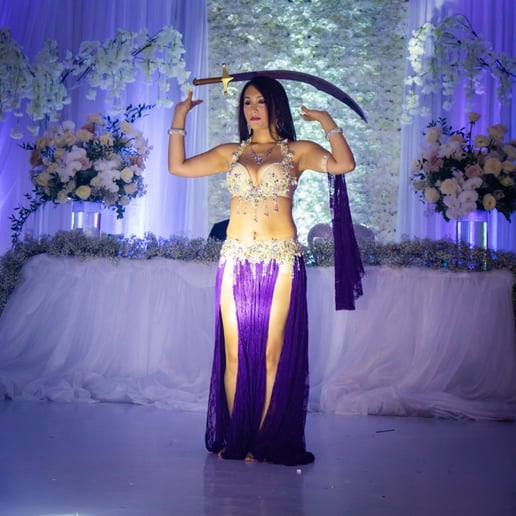 Gallery photo 3 of Lady Laura/Alma Latina Bellydance