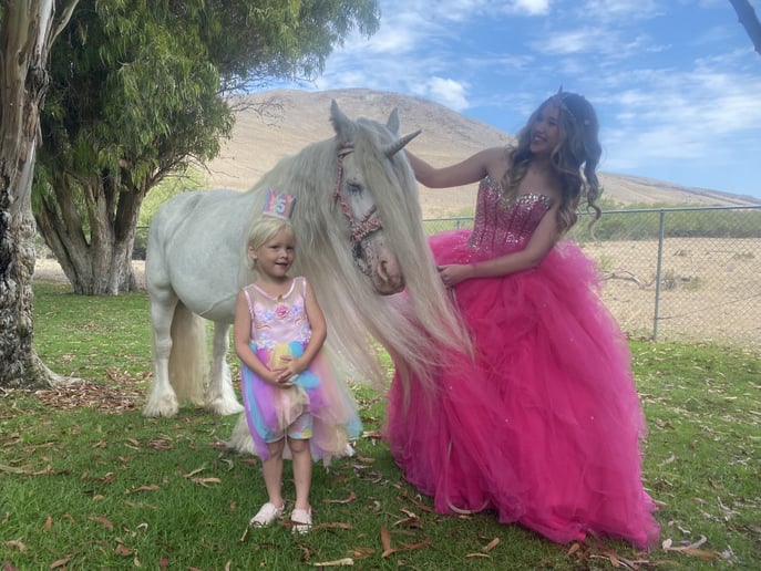 Gallery photo 4 of Lady Serenity the Gypsy Unicorn