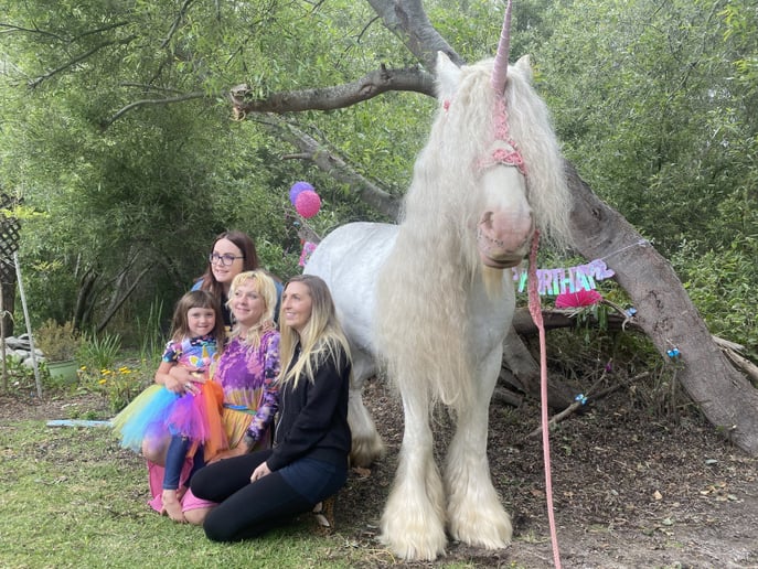 Gallery photo 8 of Lady Serenity the Gypsy Unicorn