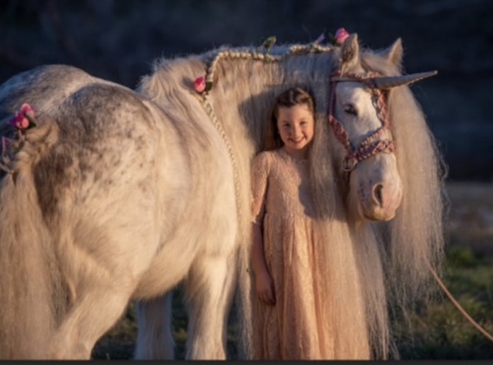 Gallery photo 10 of Lady Serenity the Gypsy Unicorn
