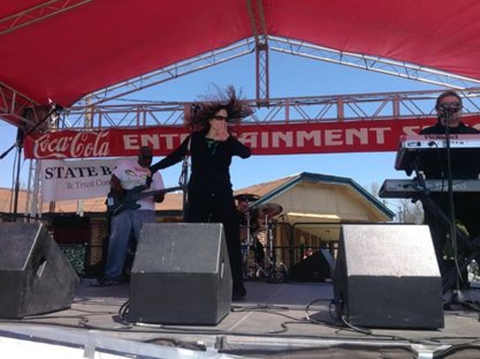 Gallery photo 2 of LadyCreech & the MainStreet Band