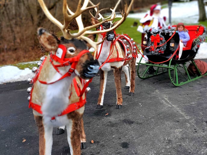 Gallery photo 67 of Lake Country Santa Claus