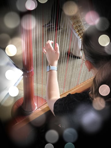 Gallery photo 7 of Lakeside Music Studio