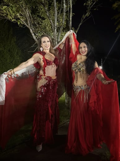 Gallery photo 9 of Lana Bellydancer