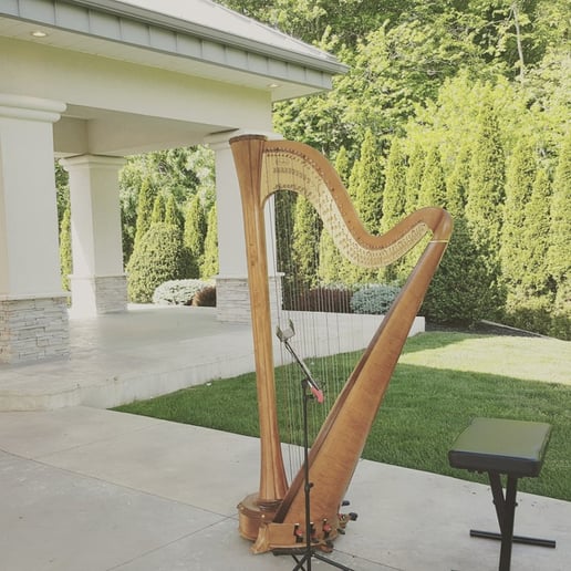 Gallery photo 6 of Candace Lark