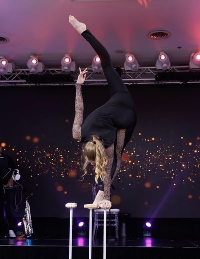 Gallery photo 1 of Hand-balancing/Aerial acts