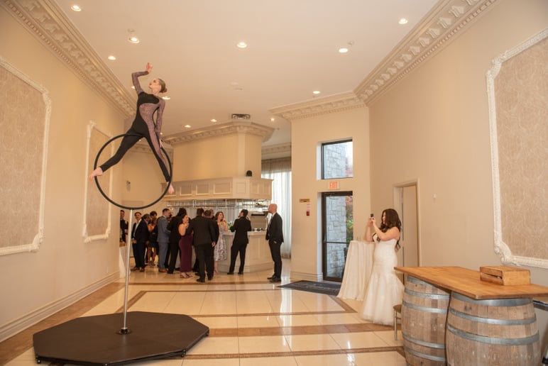 Gallery photo 3 of Hand-balancing/Aerial acts