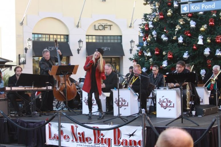 Gallery photo 2 of Late Nite Big Band