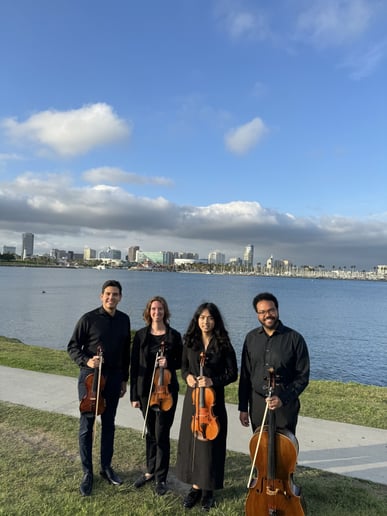 Gallery photo 1 of Latin String Quartet