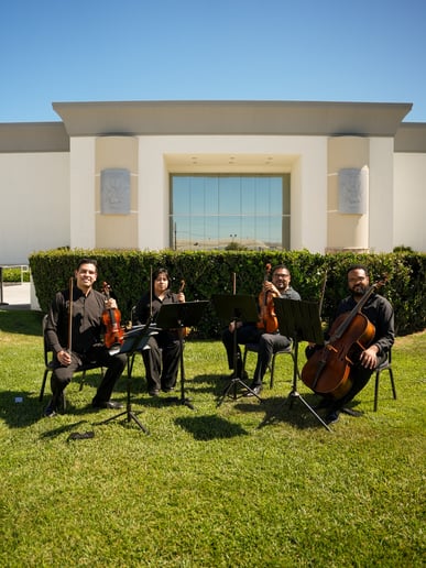 Gallery photo 2 of Latin String Quartet