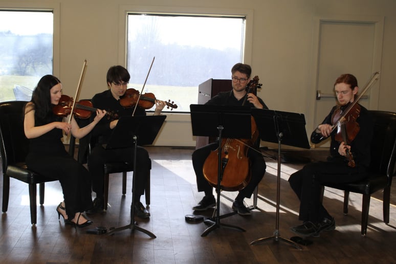 Gallery photo 3 of Laura Lienemann, violinist
