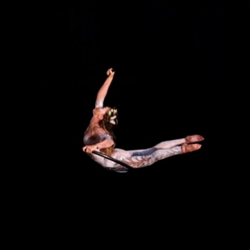 Gallery photo 9 of Laura Lawless Circus