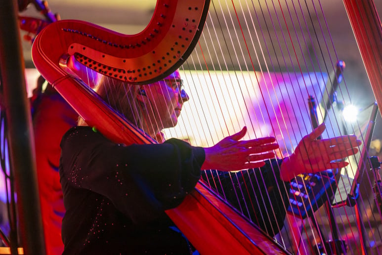 Gallery photo 4 of Laura Sherman, harpist