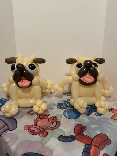 Gallery photo 7 of Laura's Ballooniverse