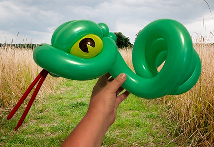 Gallery photo 10 of Laura's Ballooniverse