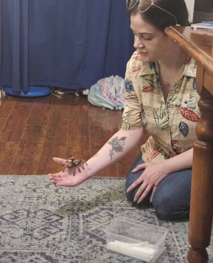 Gallery photo 4 of Laura’s Little Zoo