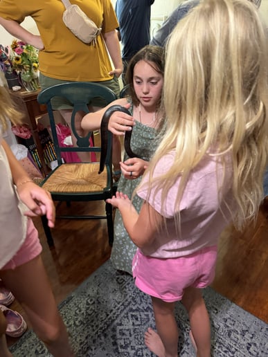 Gallery photo 8 of Laura’s Little Zoo