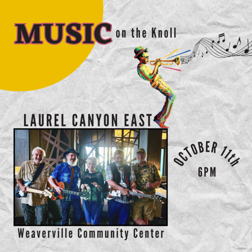 Gallery photo 7 of Laurel Canyon East Band / 60-70’s Music