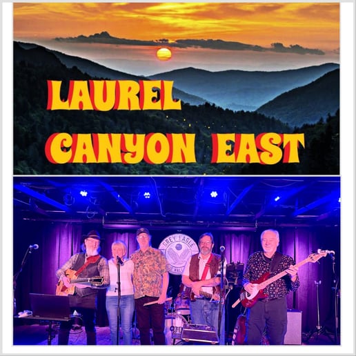 Gallery photo 10 of Laurel Canyon East Band / 60-70’s Music