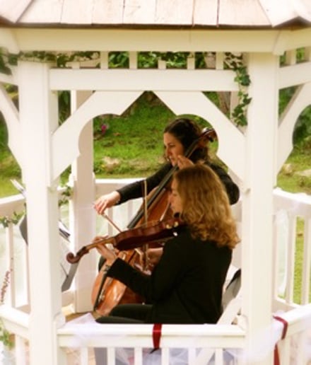 Gallery photo 4 of Laurel Thomsen Violin/Viola Performance