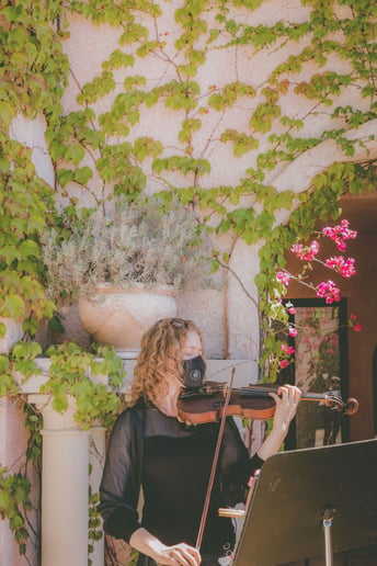 Gallery photo 6 of Laurel Thomsen Violin/Viola Performance