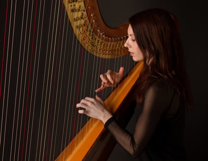 Gallery photo 2 of Lauren Grace - Harpist