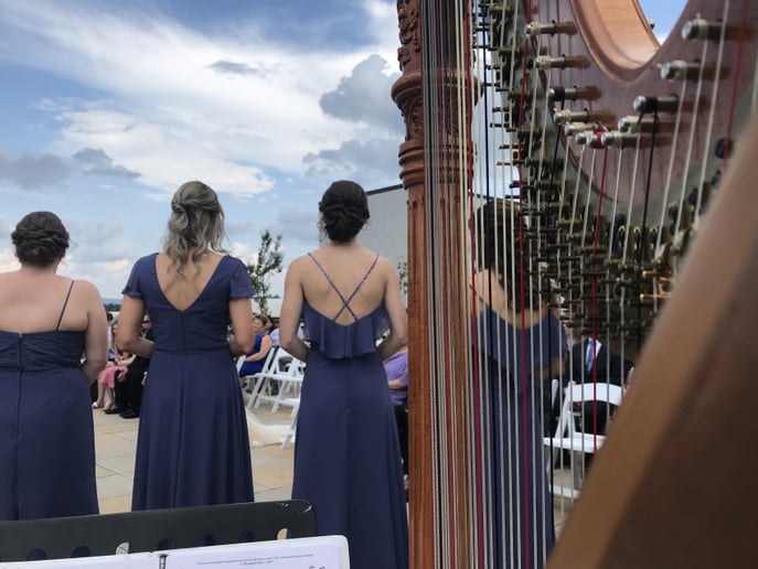 Gallery photo 18 of Lauren Swain, Harpist