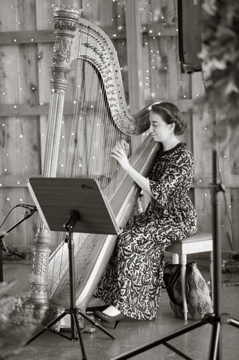 Gallery photo 15 of Lauren Swain, Harpist