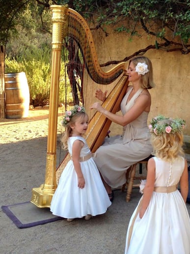 Gallery photo 1 of Laurie Rasmussen, Harpist