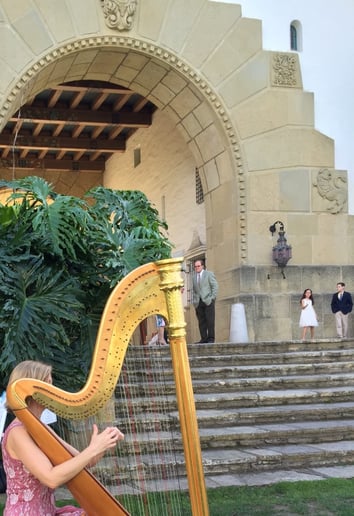 Gallery photo 2 of Laurie Rasmussen, Harpist