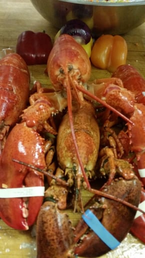 Gallery photo 16 of LCI Caterers