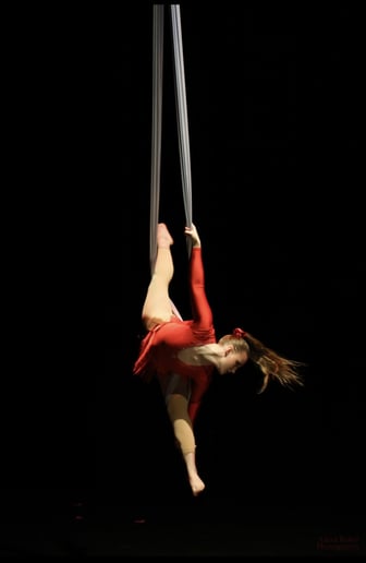 Gallery photo 1 of Le Cirque de Symphanie