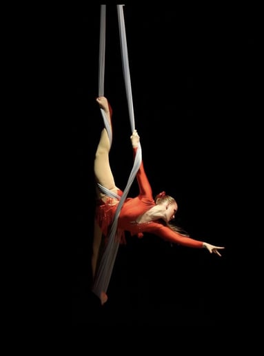 Gallery photo 2 of Le Cirque de Symphanie