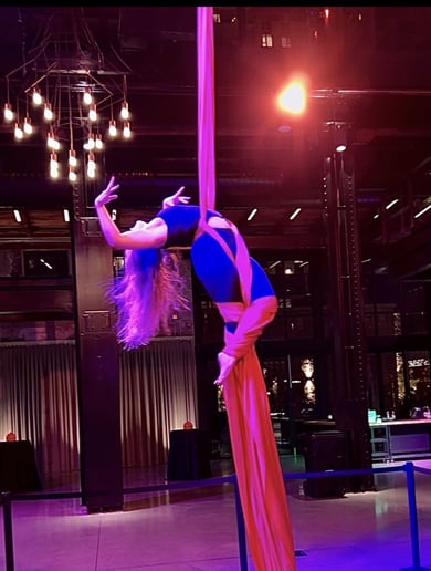Gallery photo 4 of Le Cirque de Symphanie
