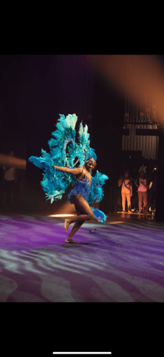 Gallery photo 1 of Le Grande performance productions