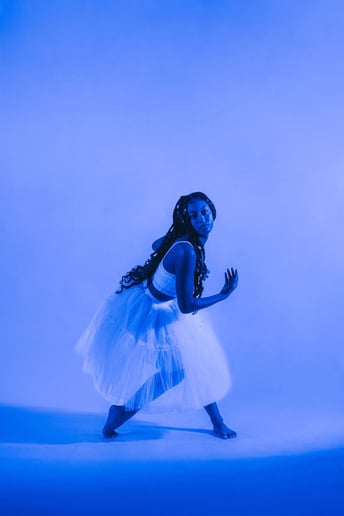 Gallery photo 2 of Le Grande performance productions