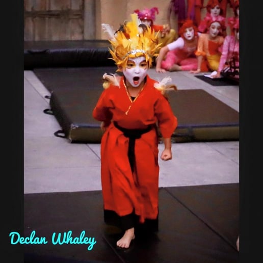 Gallery photo 6 of Le Studio-"Le Petit Cirque": Pro KID Aerialists