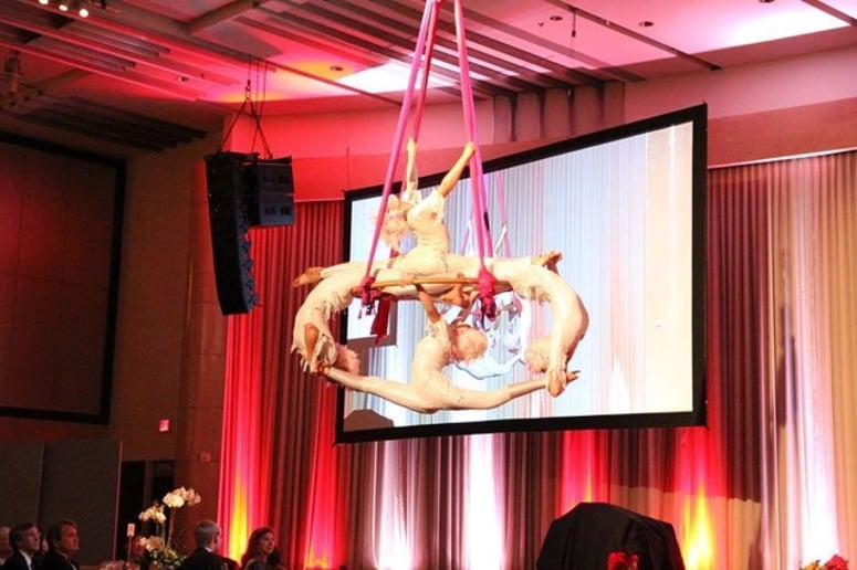 Gallery photo 8 of Le Studio-"Le Petit Cirque": Pro KID Aerialists
