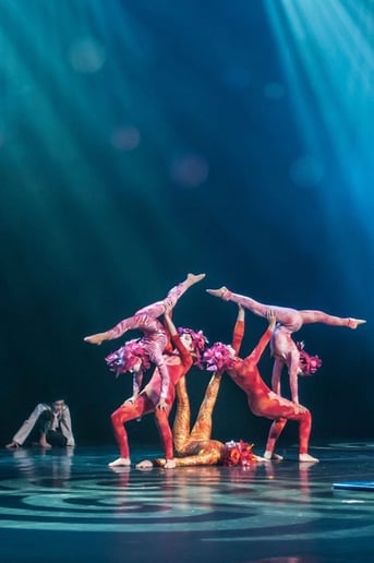 Gallery photo 10 of Le Studio-"Le Petit Cirque": Pro KID Aerialists