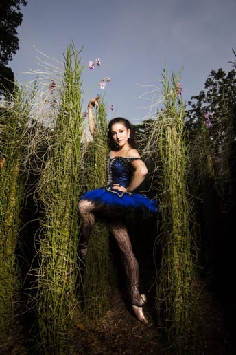 Gallery photo 1 of Lea McGowan