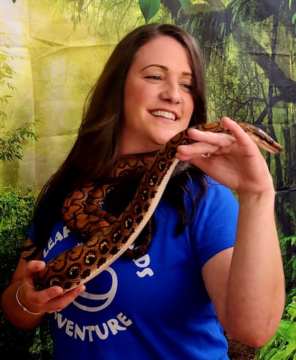 Gallery photo 3 of Leaping lizards Adventure of NH